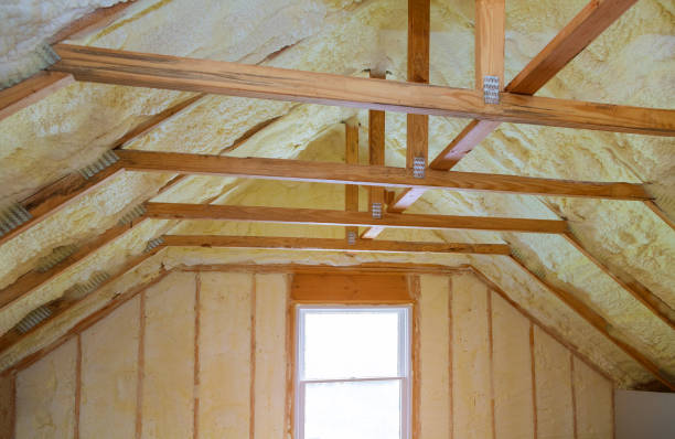 Best Eco-Friendly Insulation in Jekyll Island, GA