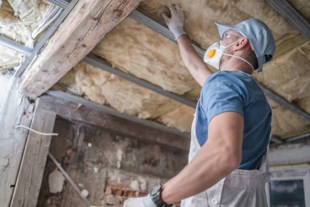Best Commercial Insulation in Jekyll Island, GA