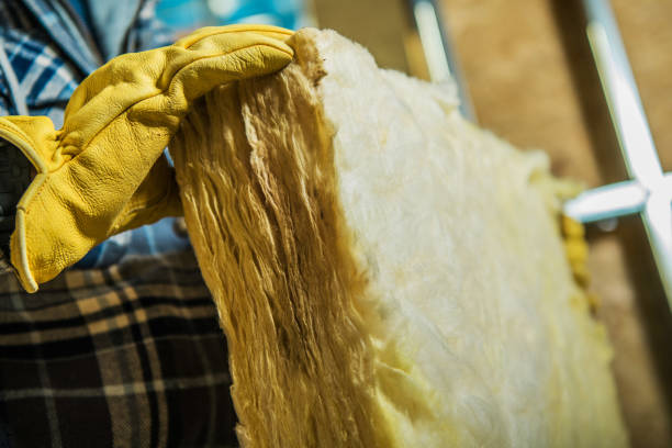 Best Geographic-Specific Insulation Services in Jekyll Island, GA